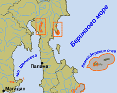 ��������� ����� ����